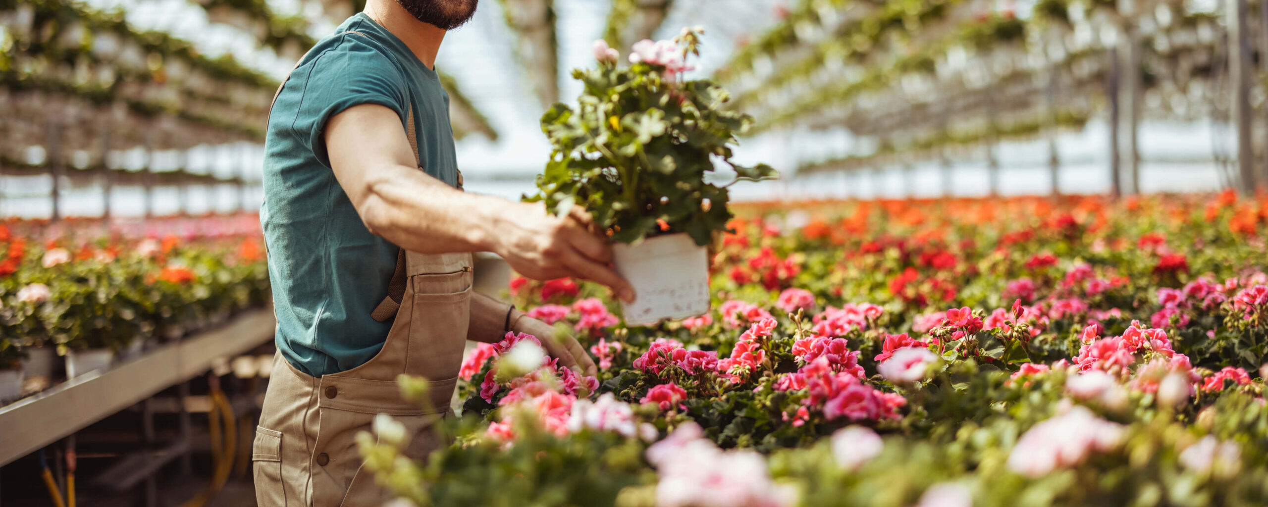 JFIロイヤリティ株式会社